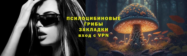 герыч Алексин