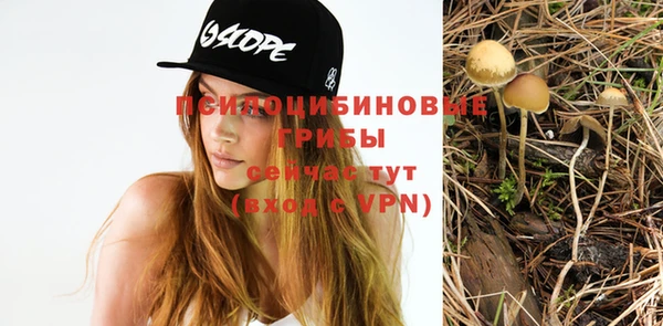 apvp Алексеевка